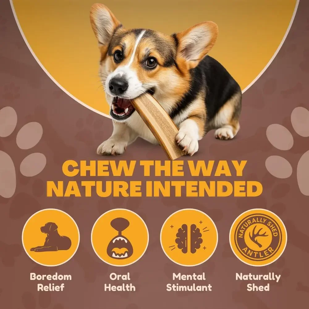 NWT WhiteTail Naturals Split Red Deer Antlers Medium Breed Dog Treats, 6 Count